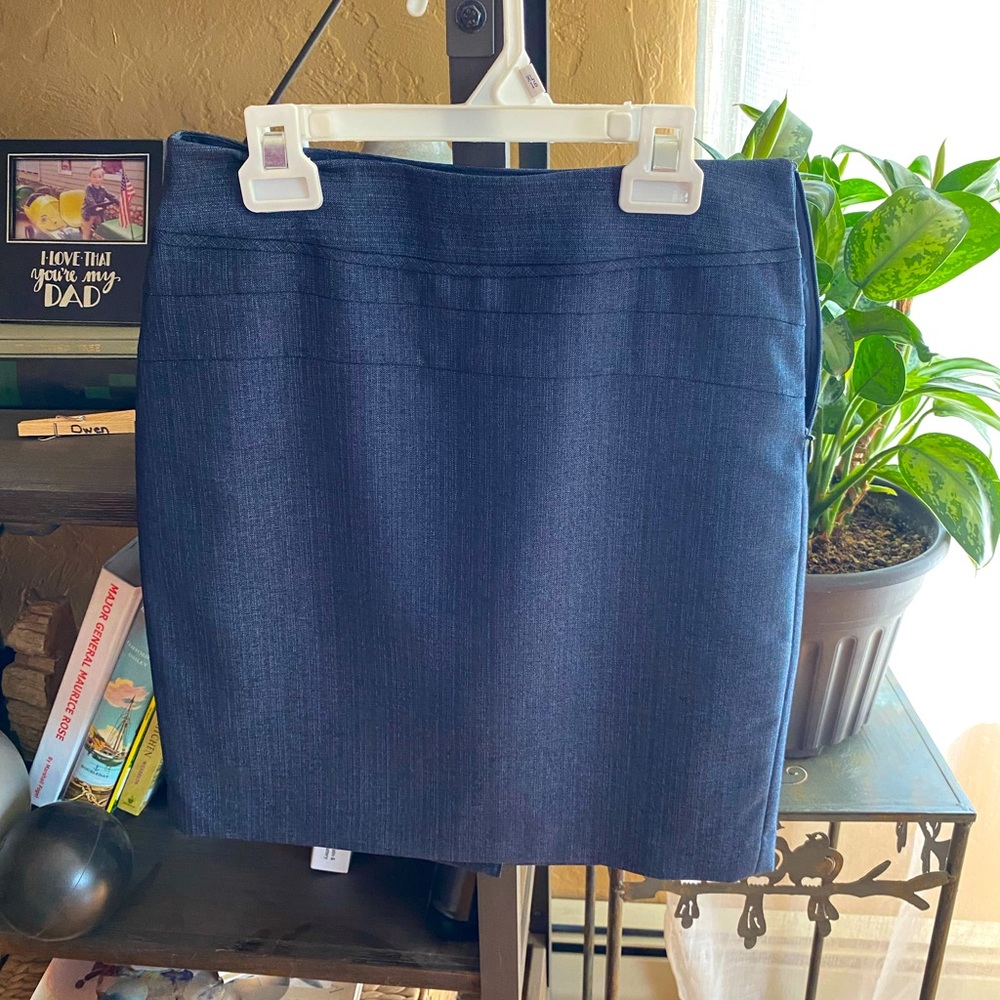 The Limited Pencil Skirt - Sz 2